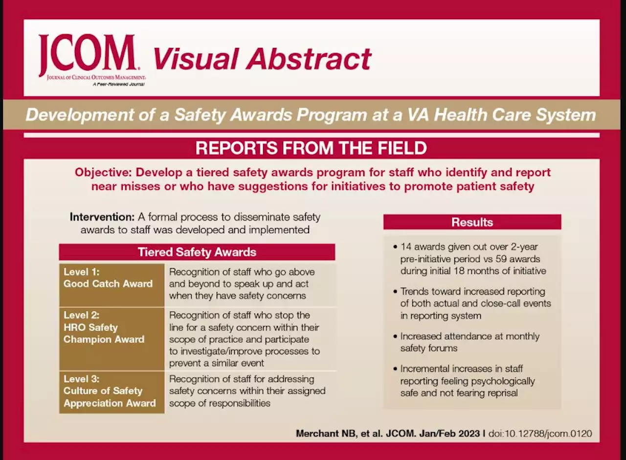 Development of a Safety Awards Program at a Veterans Affairs Health Care System: A Quality Improvement Initiative