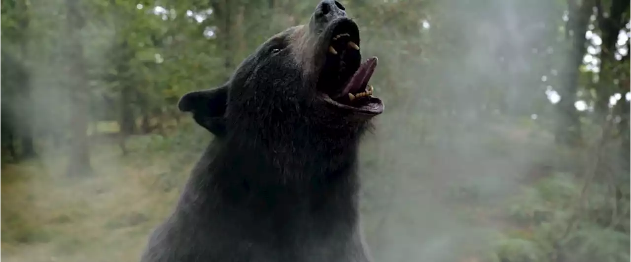 Get ready for ‘Cocaine Bear’ by watching these 5 bear horror films