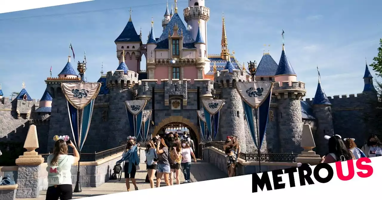 Mum falls to death off Disneyland car park