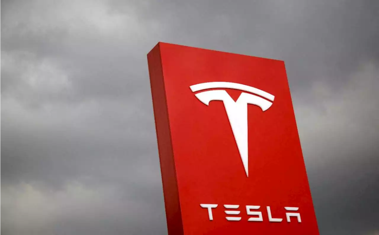 Veracruz entra a jaloneo por Tesla; ofrece mano de obra especializada