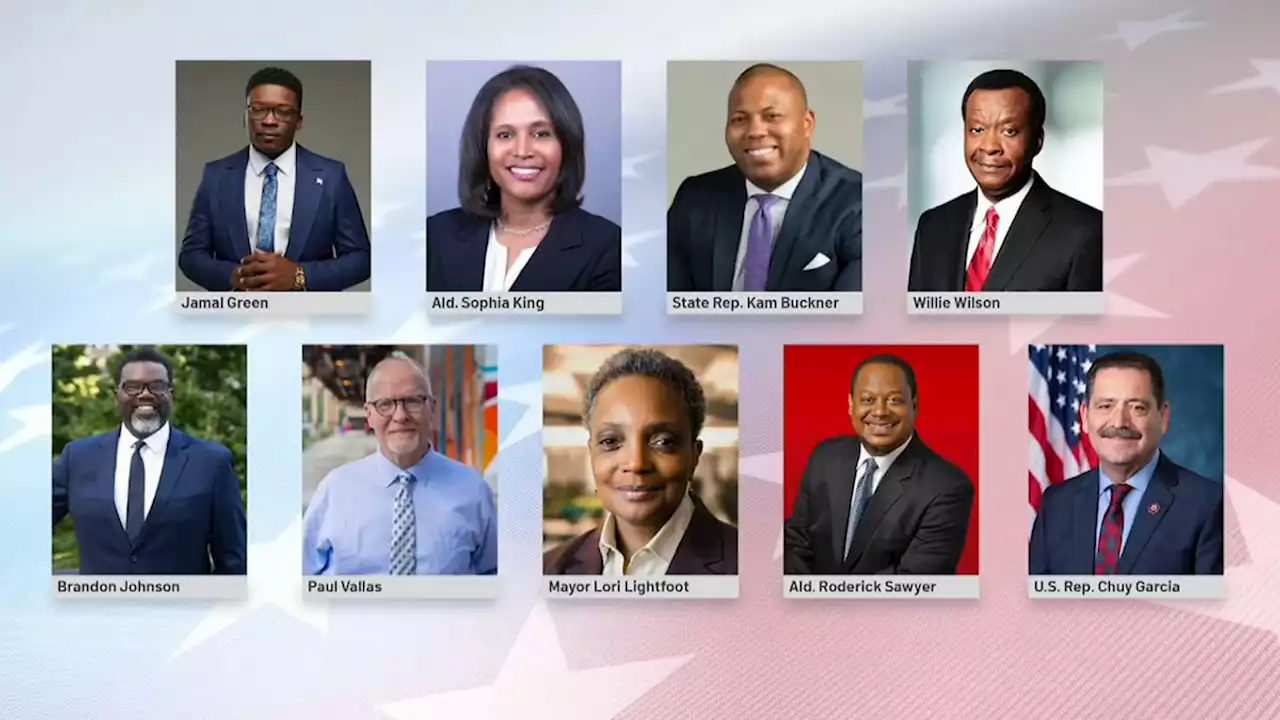 What to Know About the 9 Mayoral Candidates on Chicago Election Ballots