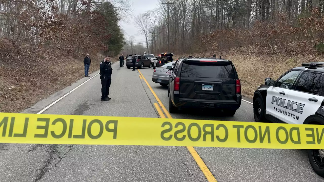 Police Sergeant Flown to Hospital After Being Struck in Conn.