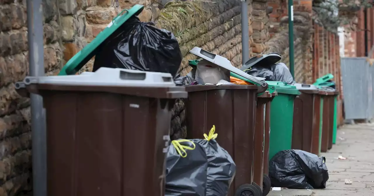 Nottingham students to be targeted in key recycling bin changes