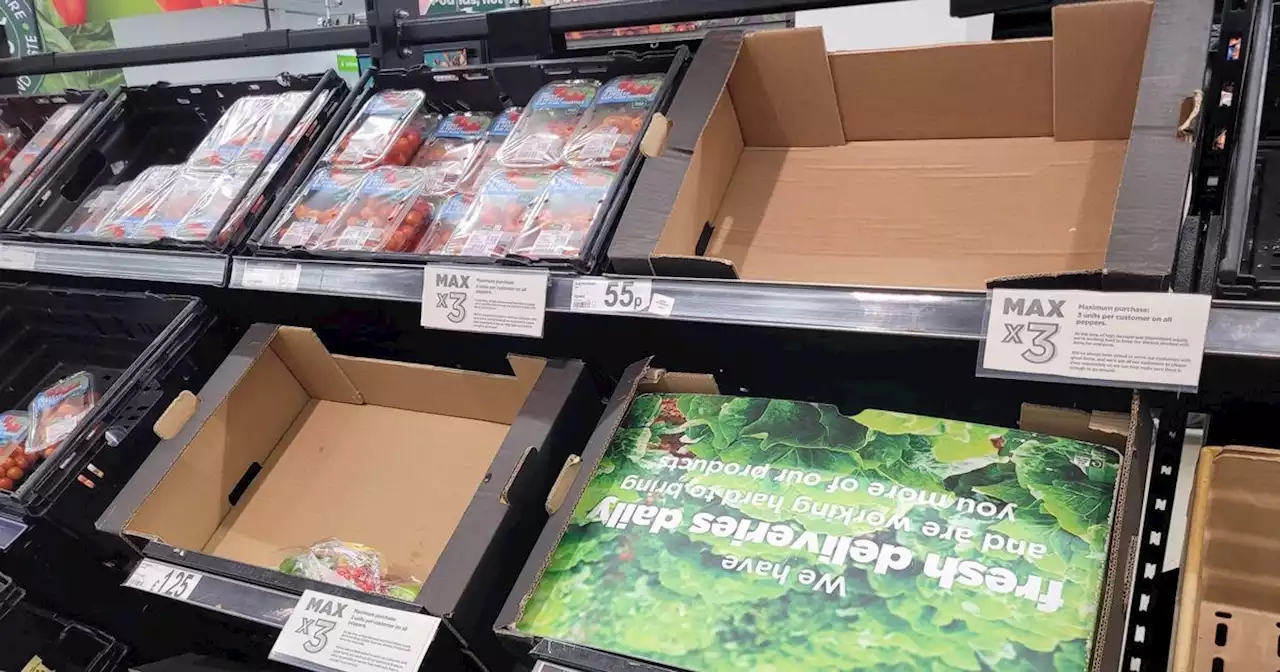 Updates as supermarkets start rationing food over transport issues