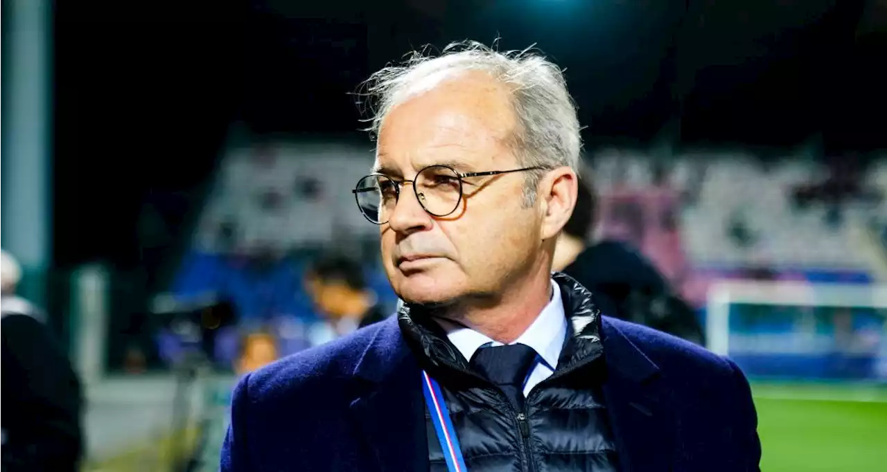 PSG – Lille : Luis Campos aurait bien insulté un arbitre