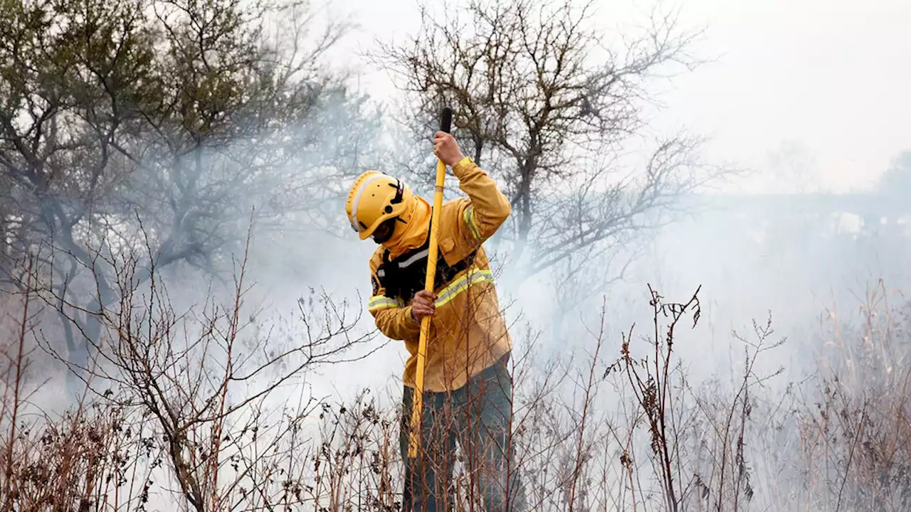 Incendios forestales: cuatro provincias mantienen focos activos | Qué zonas están afectadas