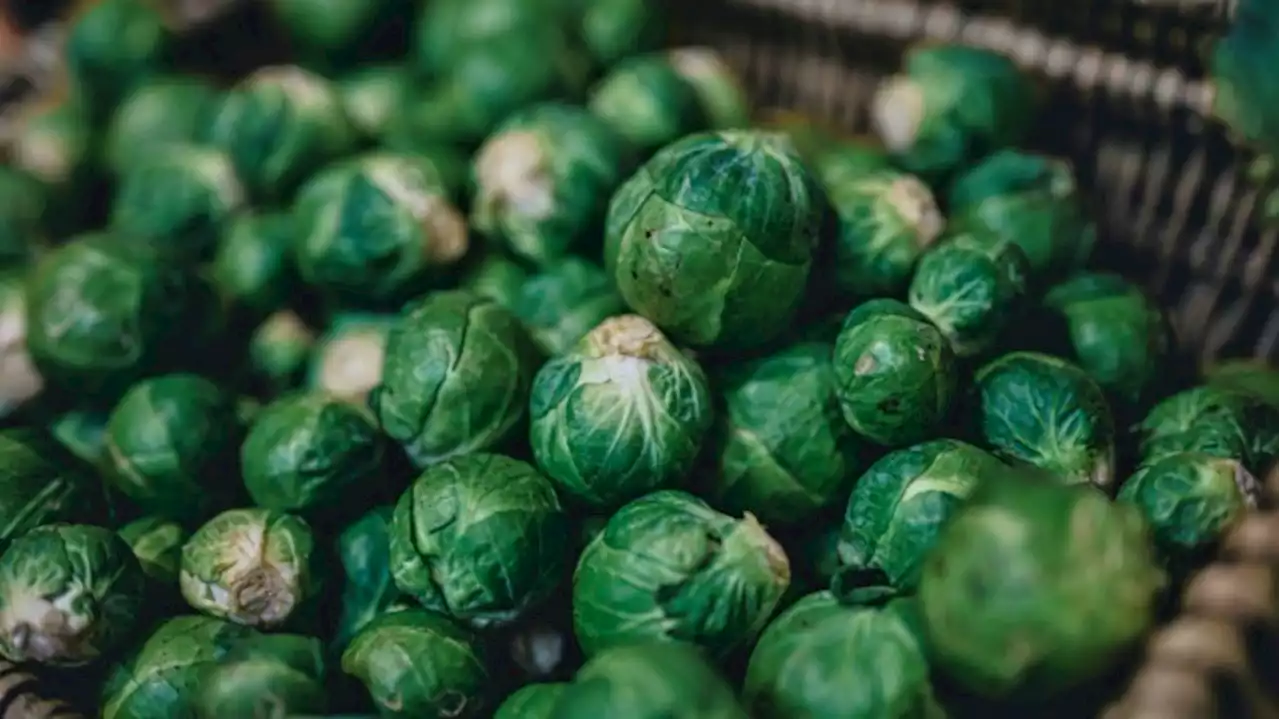 There's a Reason You Like Brussels Sprouts Now More Than You Did As a Kid