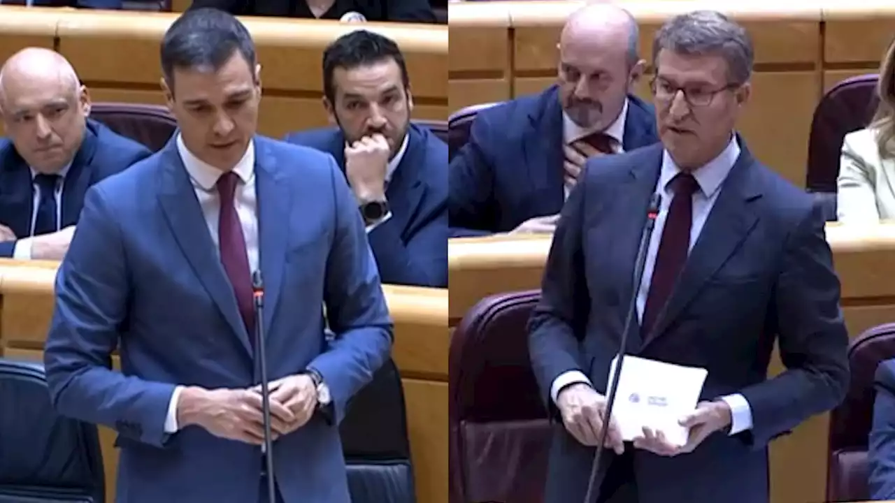 El cara a cara entre Sánchez y Feijóo en el Senado, en imágenes - Público TV