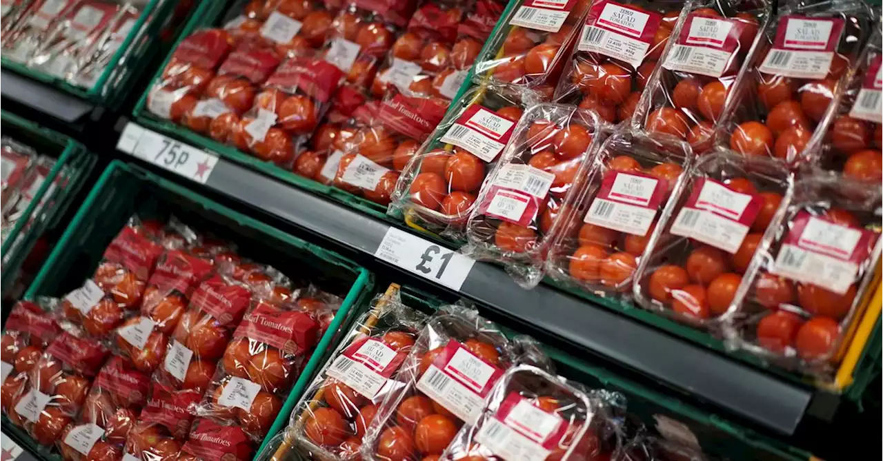 Where are the tomatoes? Britain faces shortage as imports hit