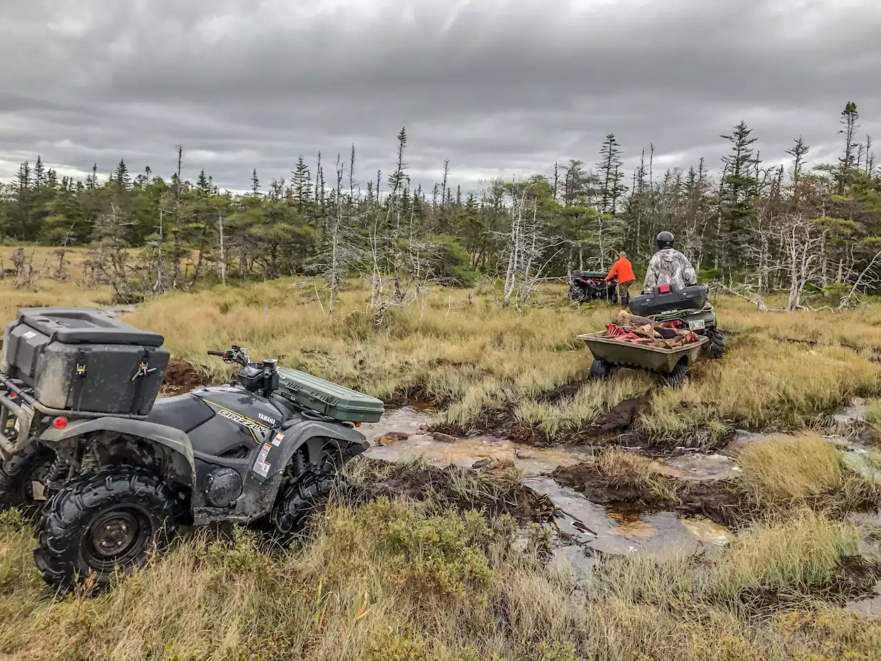 LETTER: ATVers doing damage to Newfoundland and Labrador's natural environment | SaltWire