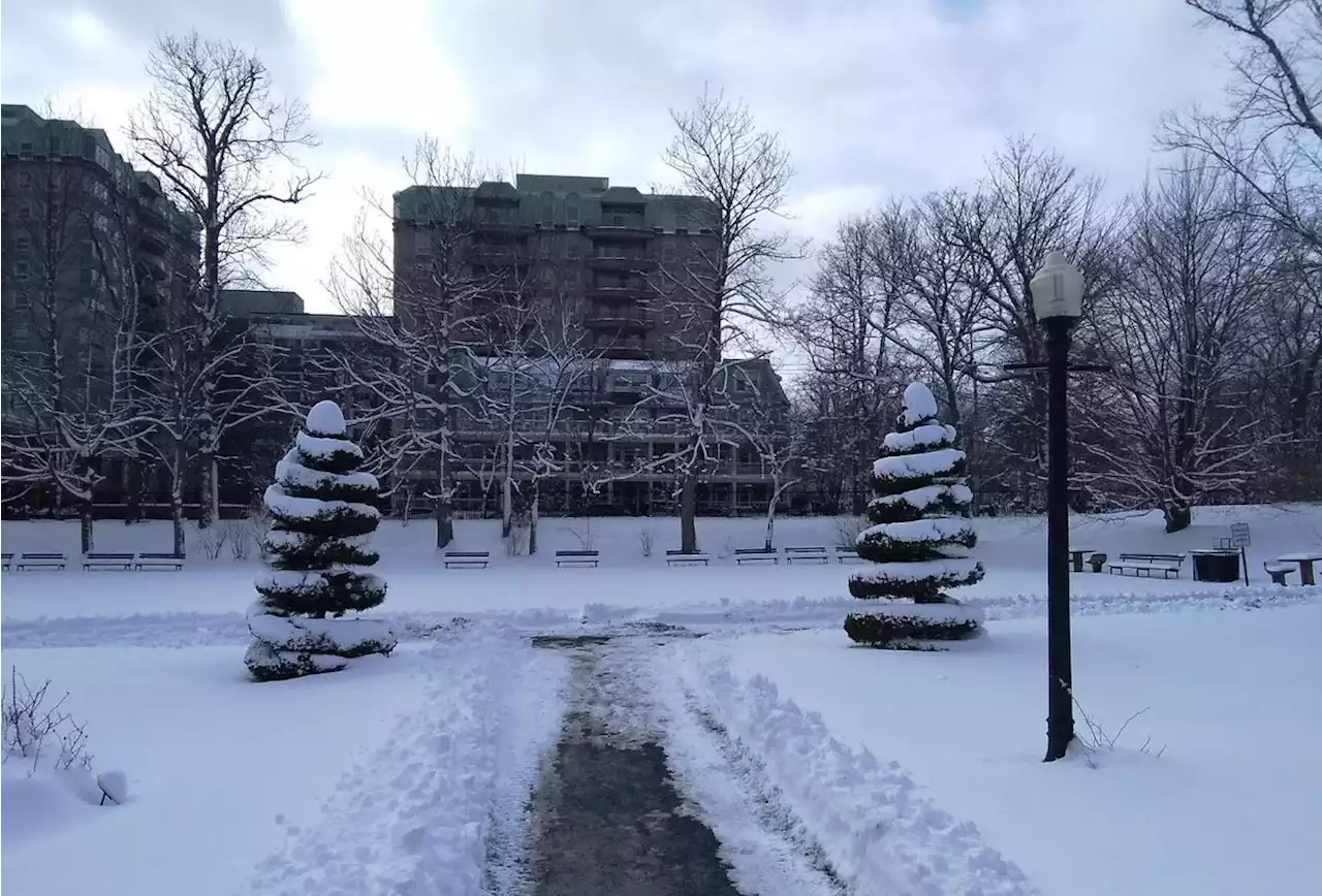 WEATHER PHOTO: A winter stroll in Halifax, N.S. | SaltWire