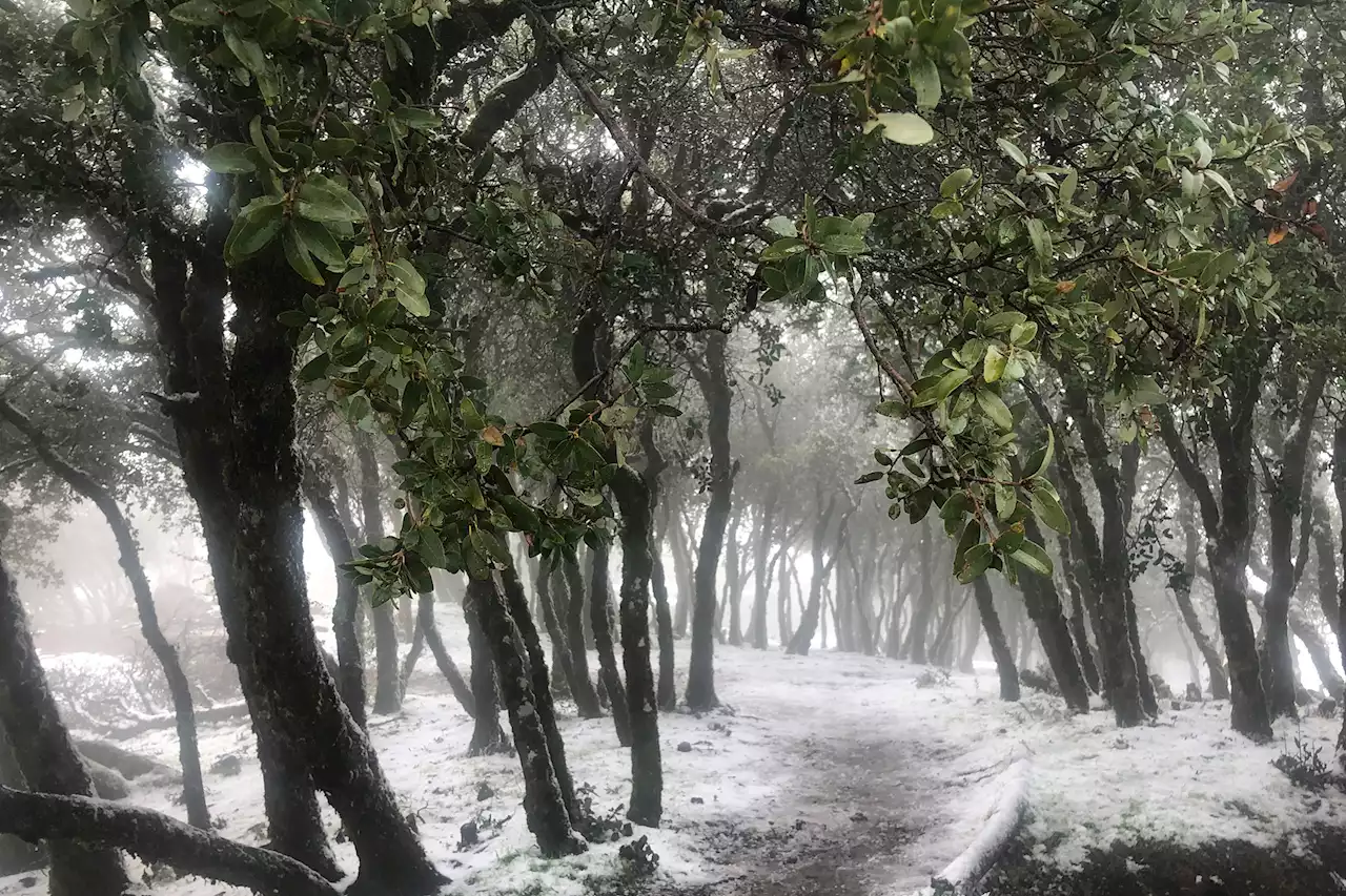 The places in the SF Bay Area most likely to see snow