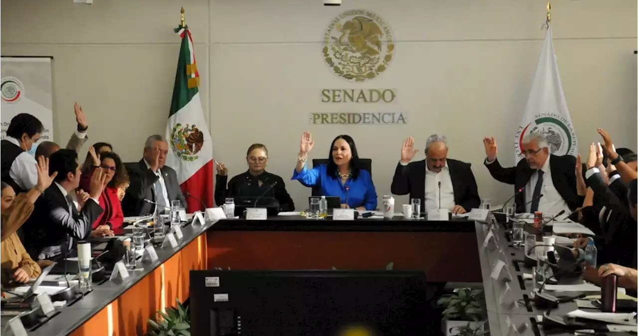 Senado avala en comisiones cambios electorales sin polémica “cláusula de vida eterna”