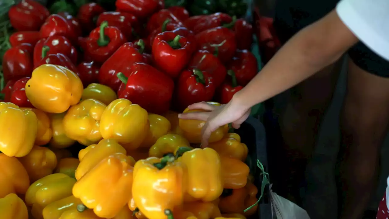 Danger of tomato, cucumber and other vegetable rationing, NFU president warns