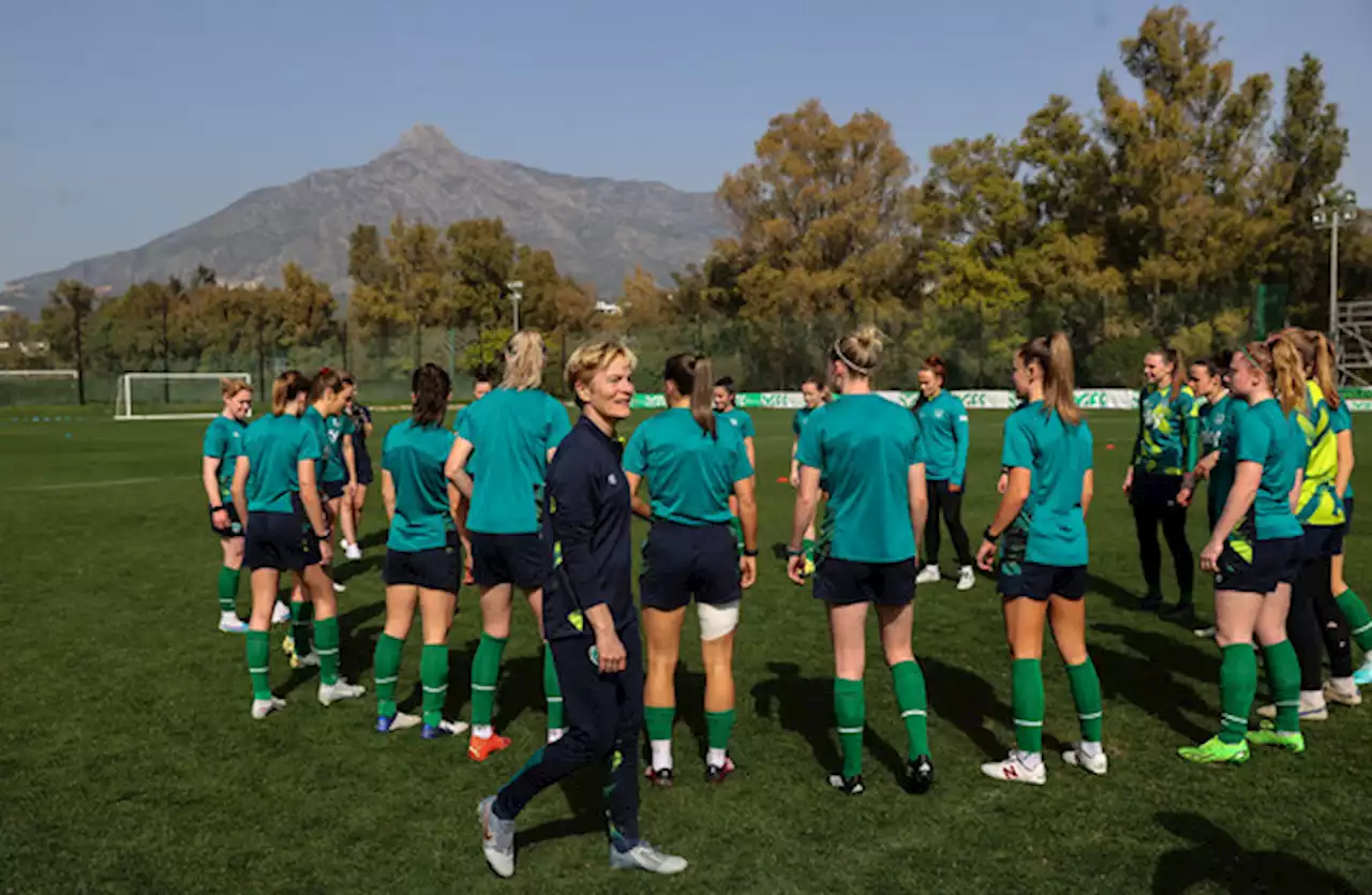 Ireland to wear purple wristbands in solidarity with World Cup rivals