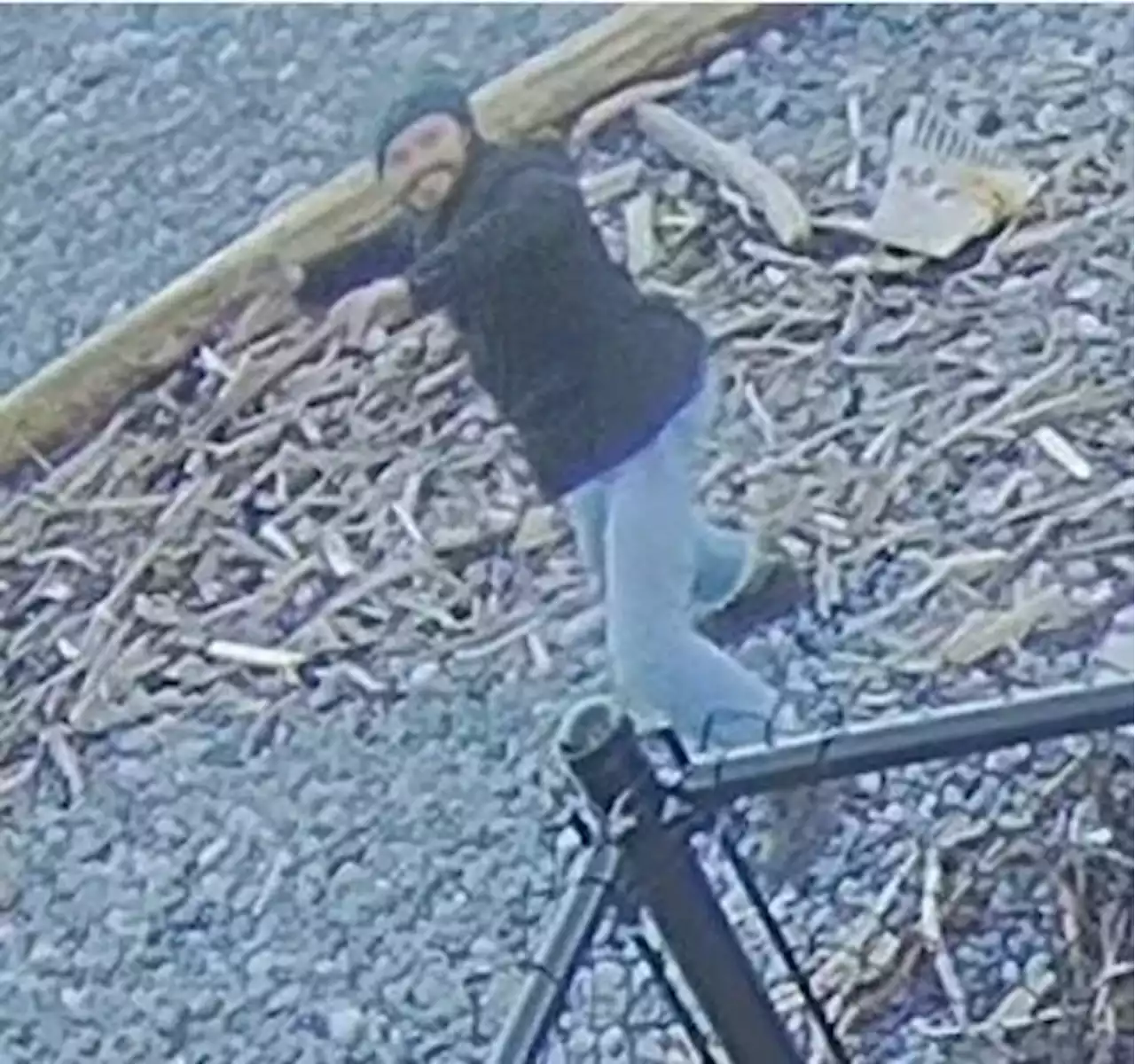 West Shore RCMP looking for person who threw rocks at property, causing thousands in damage