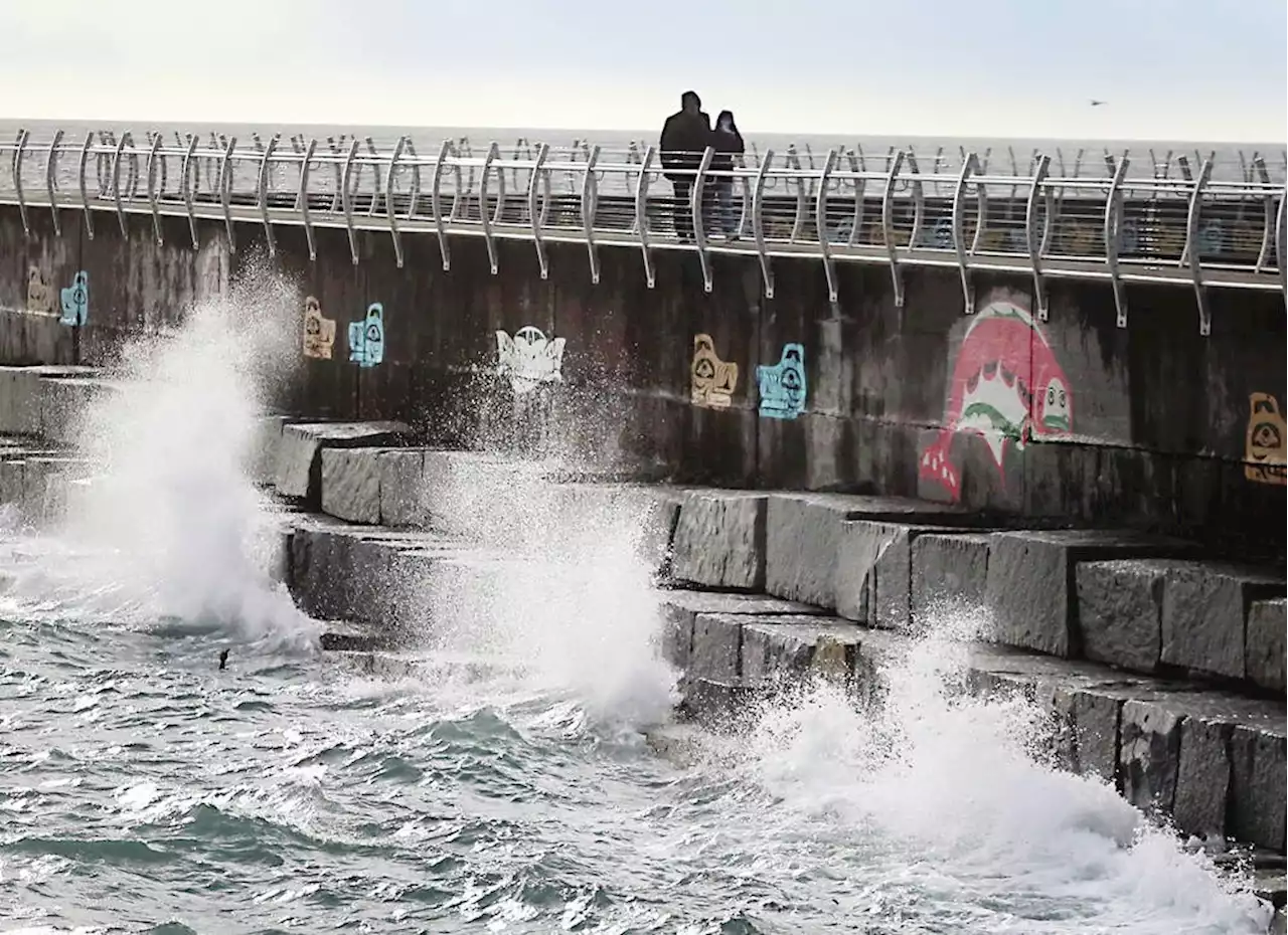 Wind warning ends for Greater Victoria, power expected to be restored by tonight