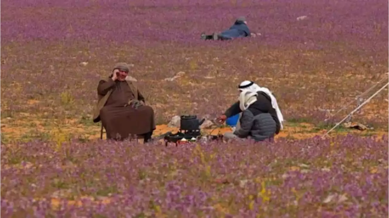 Arab Saudi Tiba-tiba Berubah jadi Indah