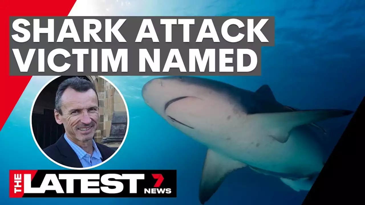 Shark attack victim named | 7NEWS