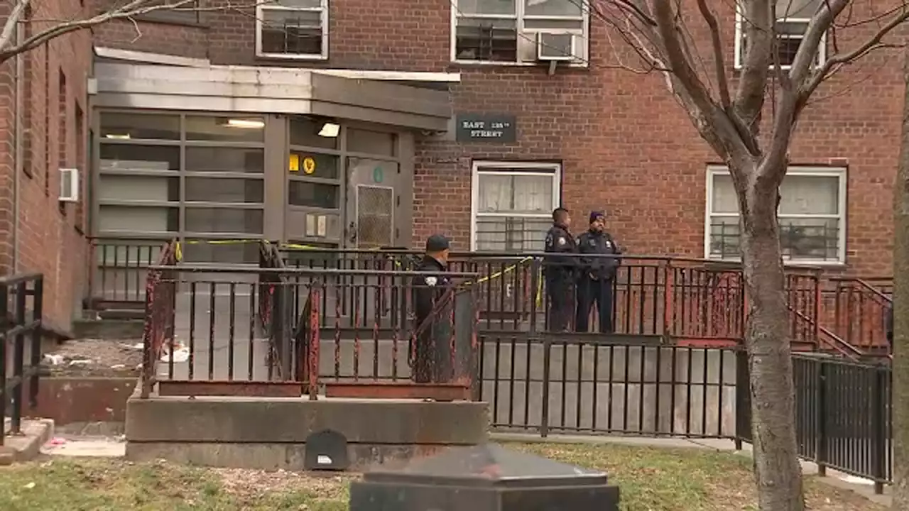 Woman shot, critically injured, after intervening in neighbor's dispute in East Harlem