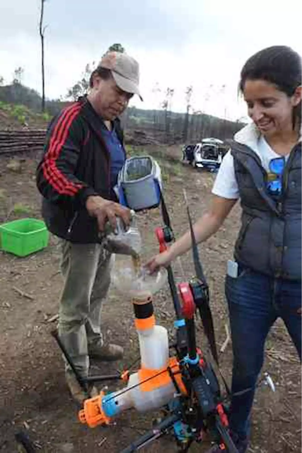 Vida otra vez, gracias a drones: En Veracruz, tecnología ayuda a reforestar