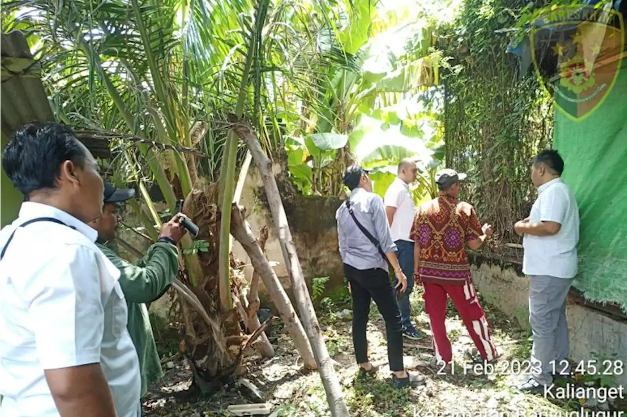 BKSDA dan Polres Situbondo sita elang bondol dari rumah pengusaha