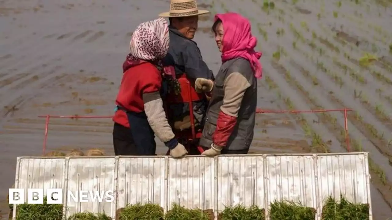 North Korea food crisis looms behind displays of military prowess