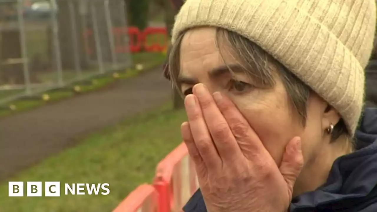 Wellingborough: Protesters arrested as ancient trees cut down