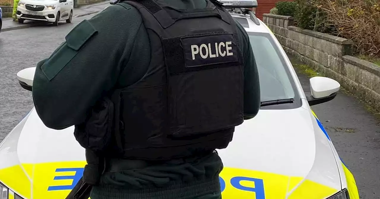 Man arrested after alleged assault on PSNI officers