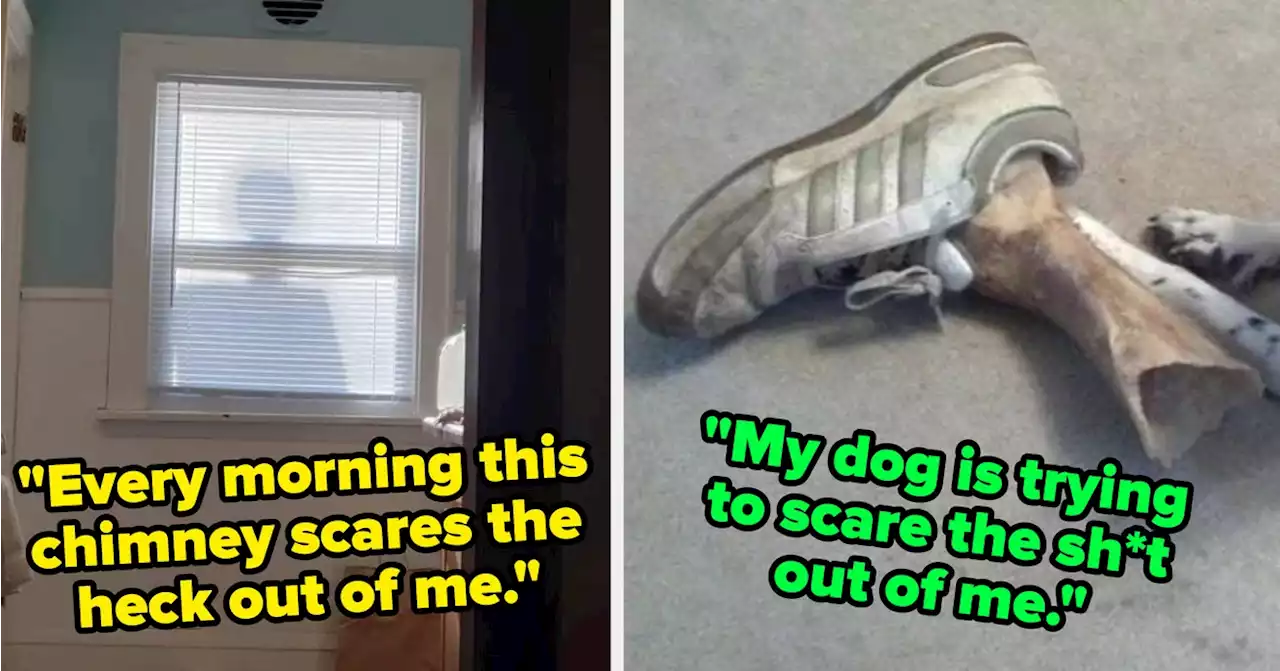 17 'Jump Scares' That Really Scared The Bejesus Out Of People, Then Made Them Laugh