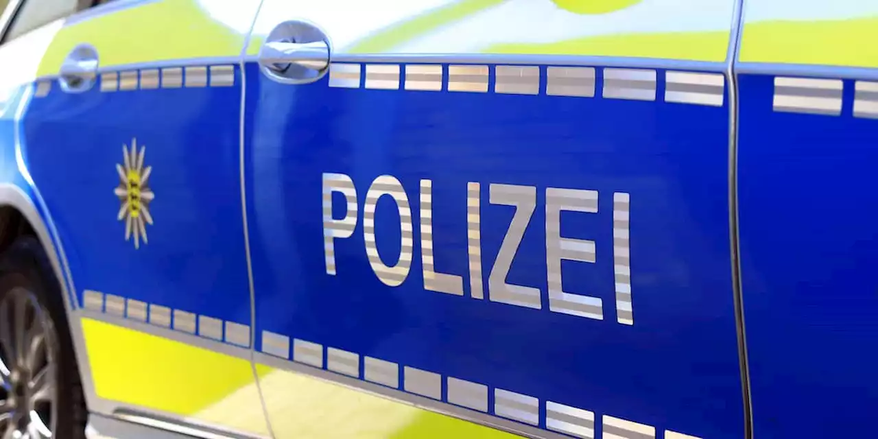 Praktischer Spickzettel: Dieses kleine Heft hilft Ihnen bei der Polizeikontrolle