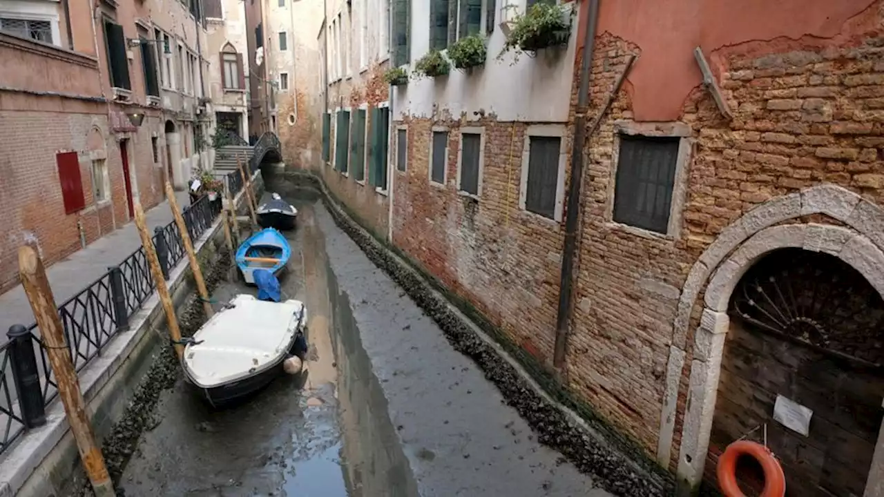 Venise : les canaux à sec après une marée basse exceptionnelle