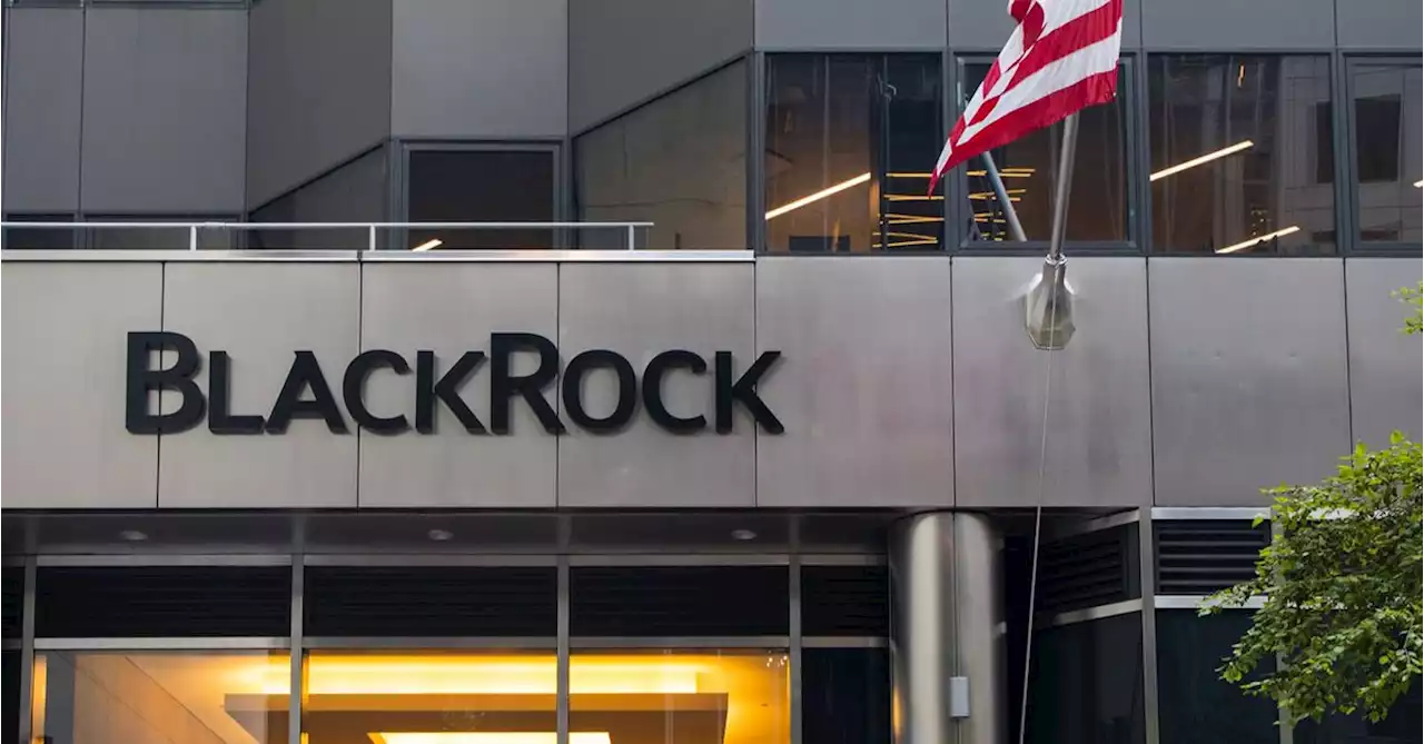 BlackRock Starts Metaverse-Themed ETF Despite Waning Investor Interest