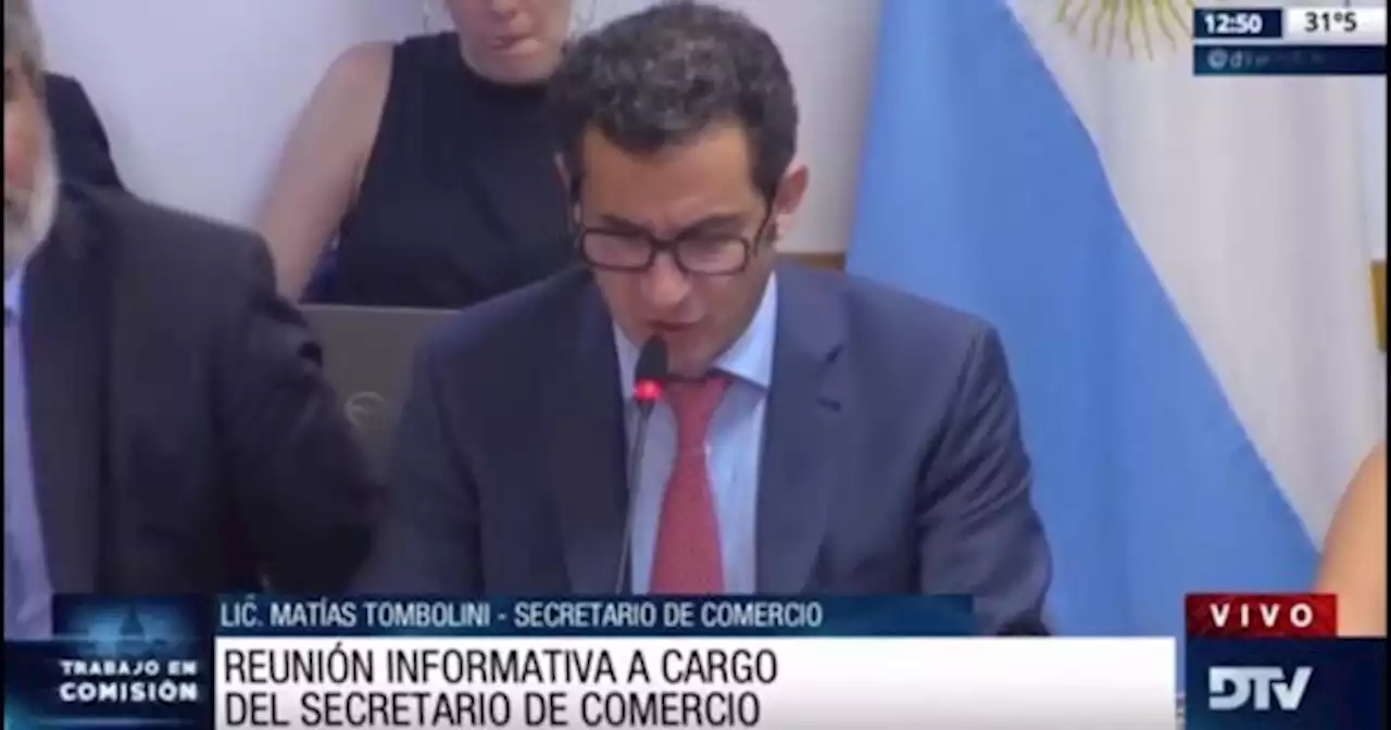 El secretario de Comercio, Mat�as Tombolini, expuso en Diputados