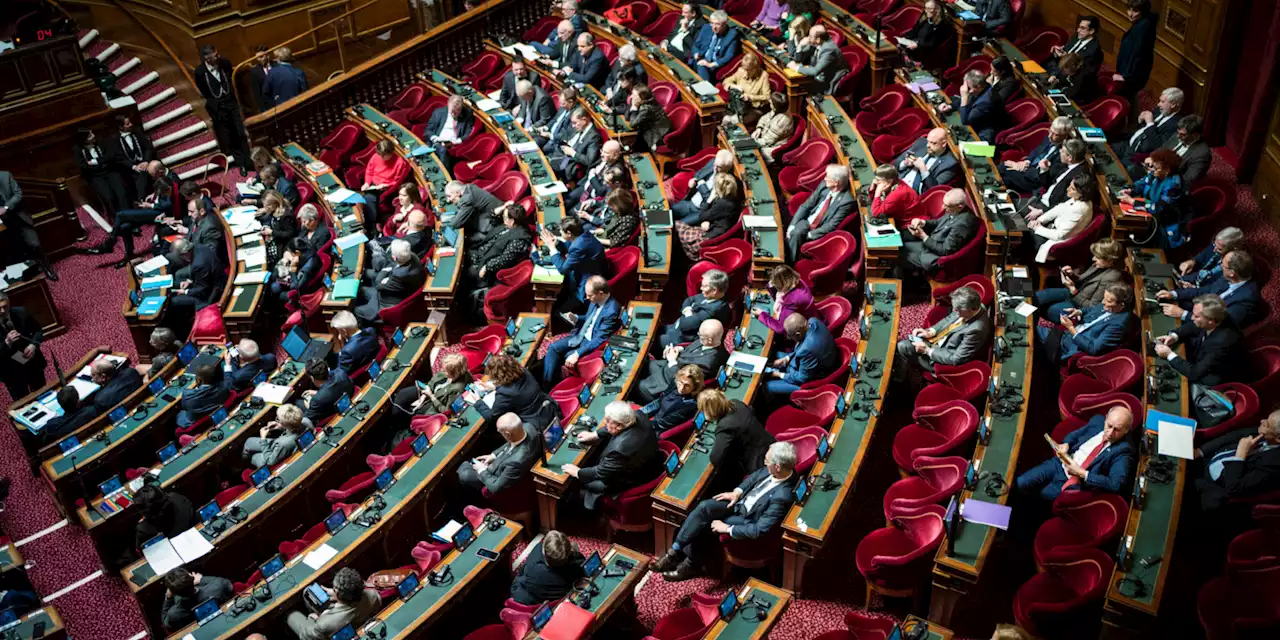 Réforme des retraites : comment la gauche du Sénat veut se distinguer de la Nupes à l'Assemblée