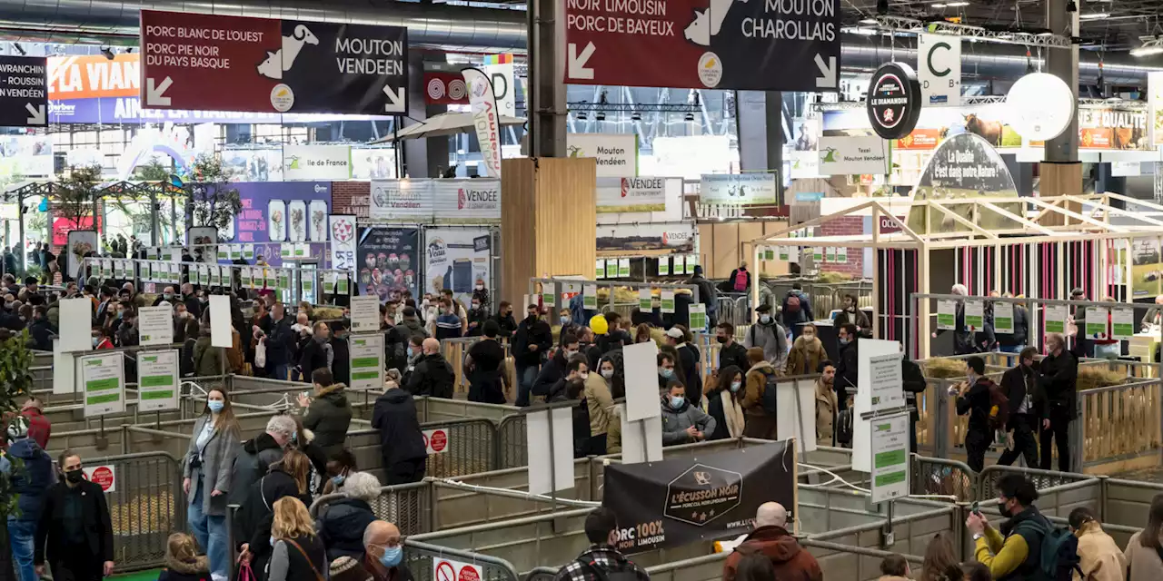 Salon de l'Agriculture 2023 : ce qu'il faut savoir avant l'ouverture de la 59e édition