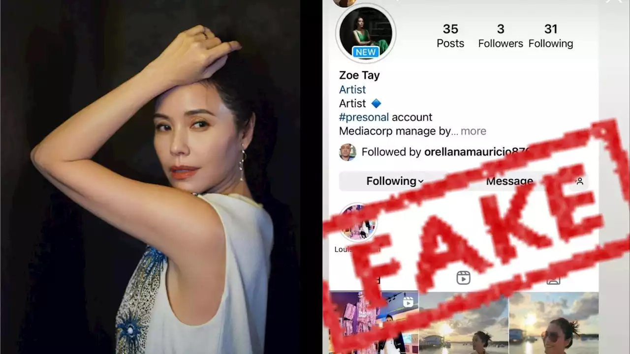 Zoe Tay warns her Instagram followers about imposter fake account that uses her name - Singapore News