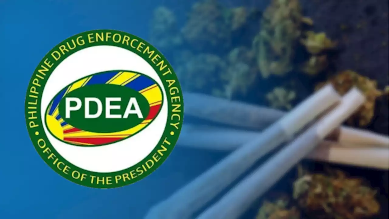 PDEA: Some tipsters prefer drugs as reward, not money