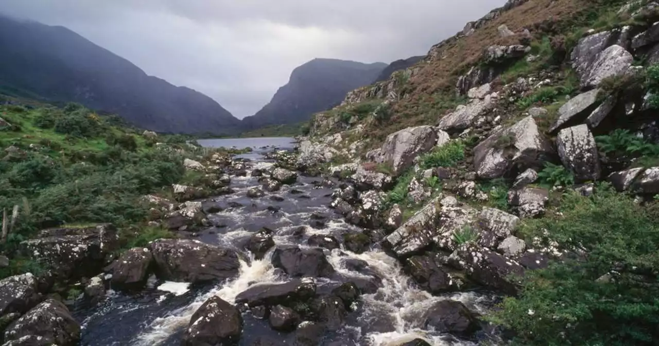 Families of US couple who died in pony and trap accident at Gap of Dunloe sue driver and council