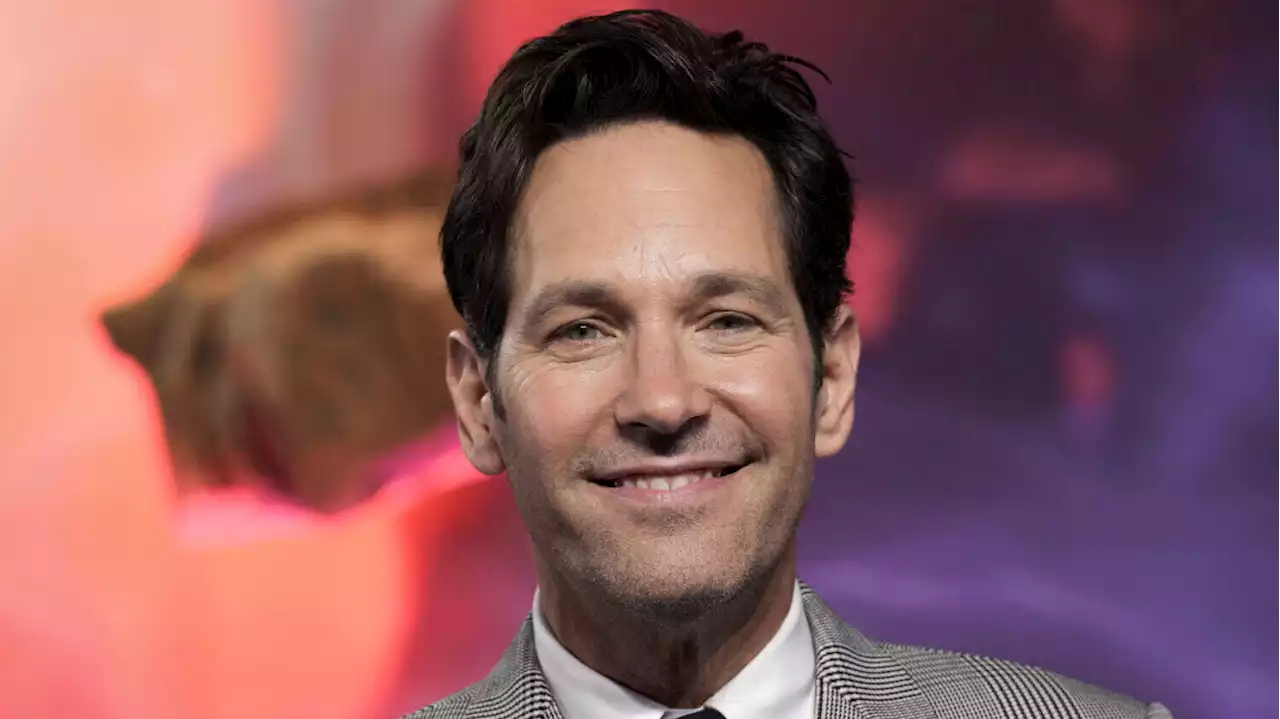 Tennessee animal shelter wanted Paul Rudd to adopt a look-alike dog—and the photos are too funny