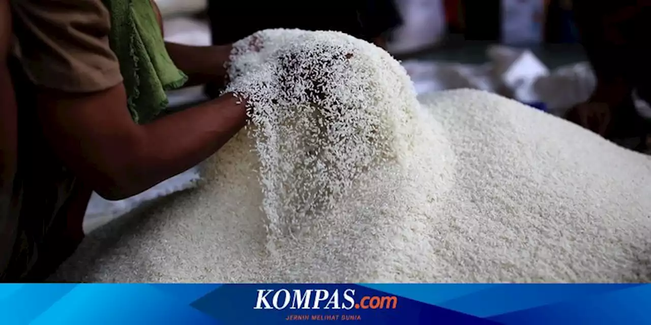 Menyoal Mahalnya Harga Beras yang Bikin Porsi Nasi Warteg Berkurang