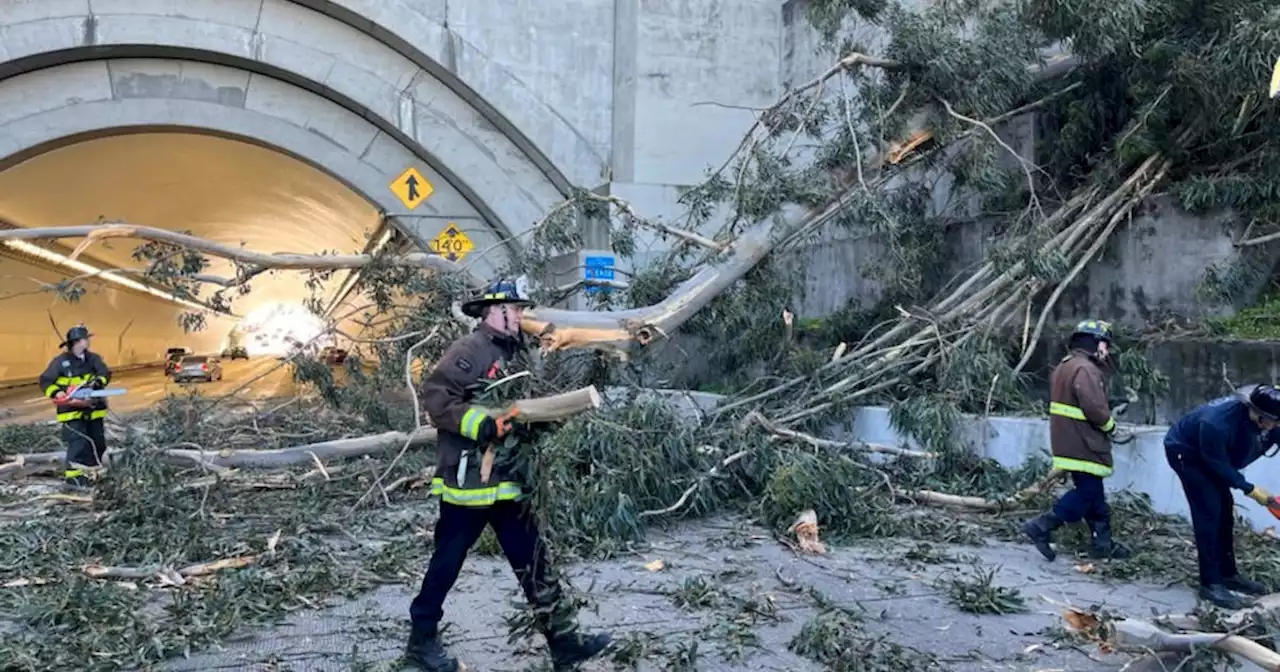 Update: Wind gusts rip through San Francisco Bay Area; Toppled tree closes westbound lanes of Bay Bridge