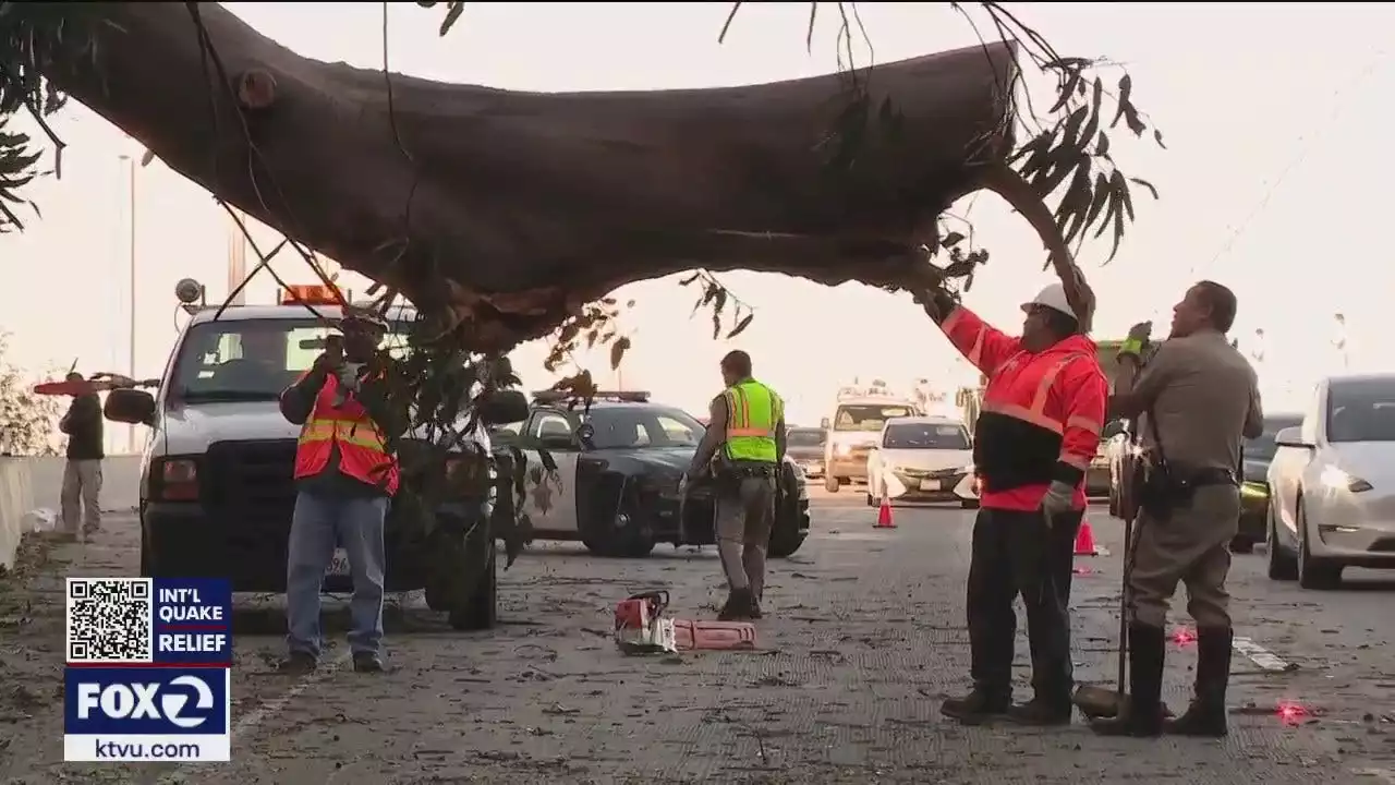 Strong wind gusts bring tree down on Bay Bridge and panels off SF high-rise