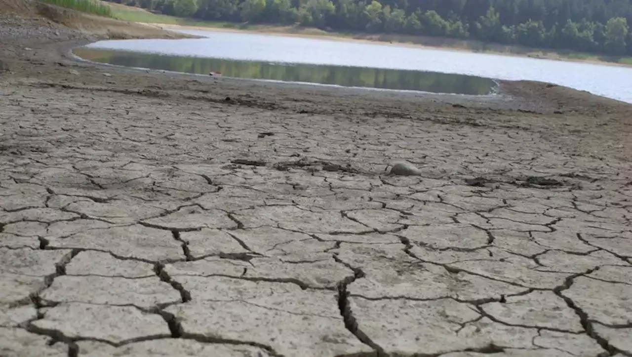 Sécheresse : 32 jours sans véritable pluie, un nouveau record historique selon Météo-France