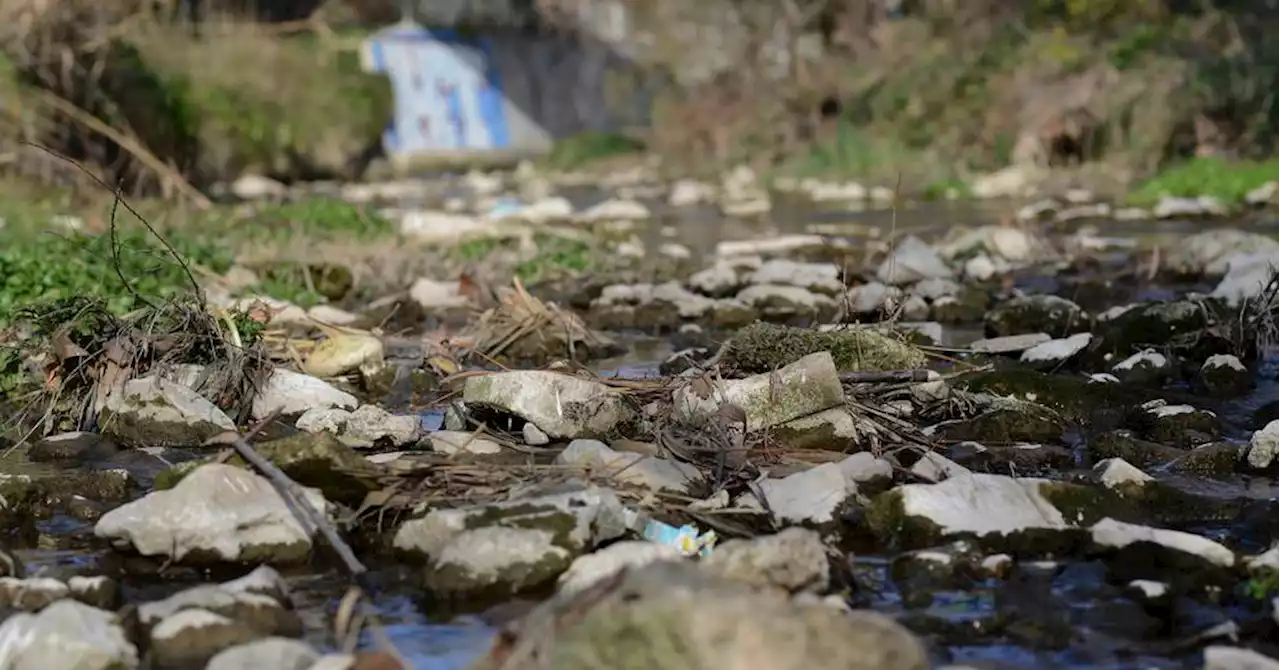 Sécheresse : l'alerte est lancée à Marseille