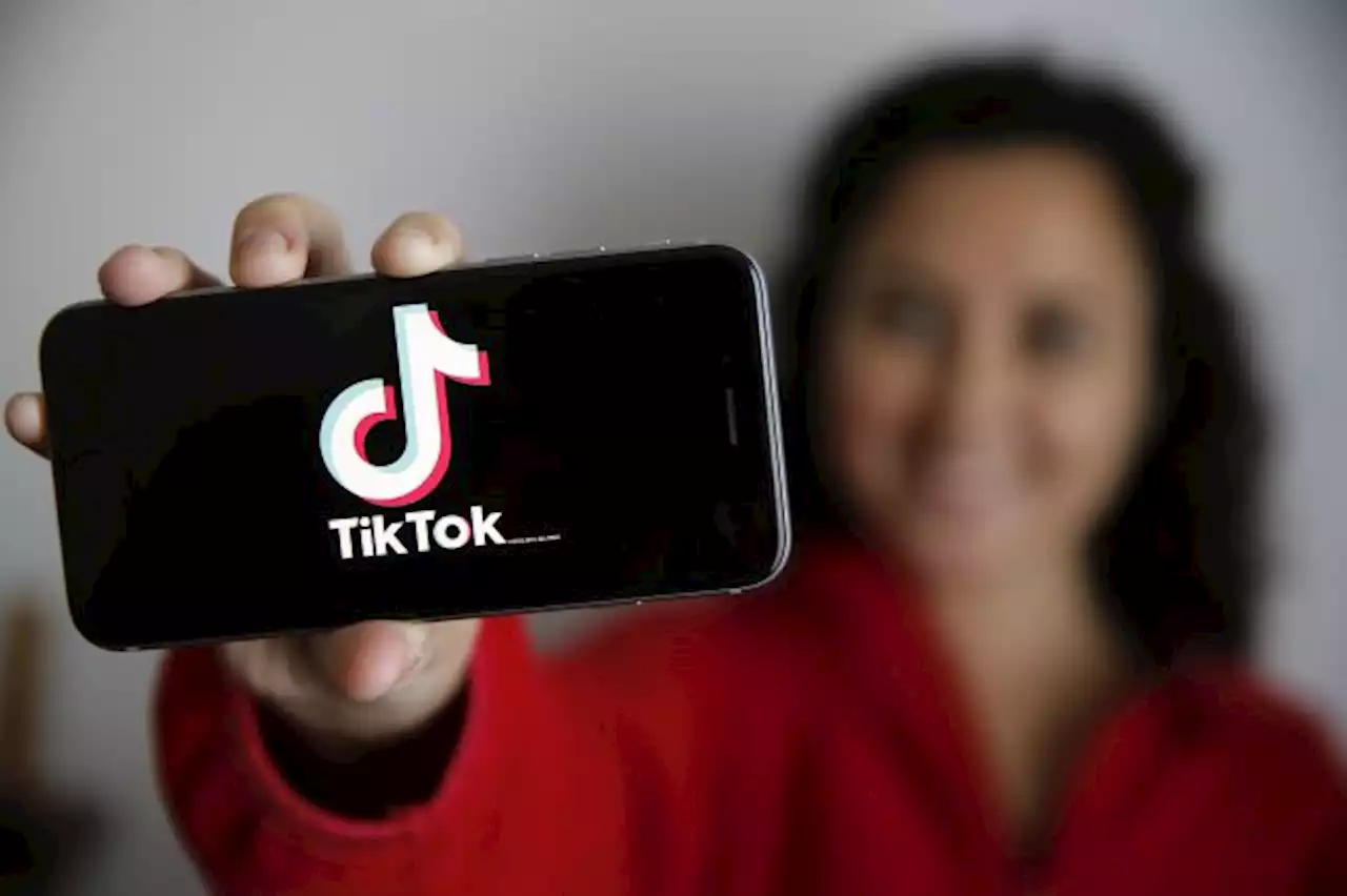 TikTok pone el foco en sus creadores y lanza nuevo programa; ¿de qué se trata?