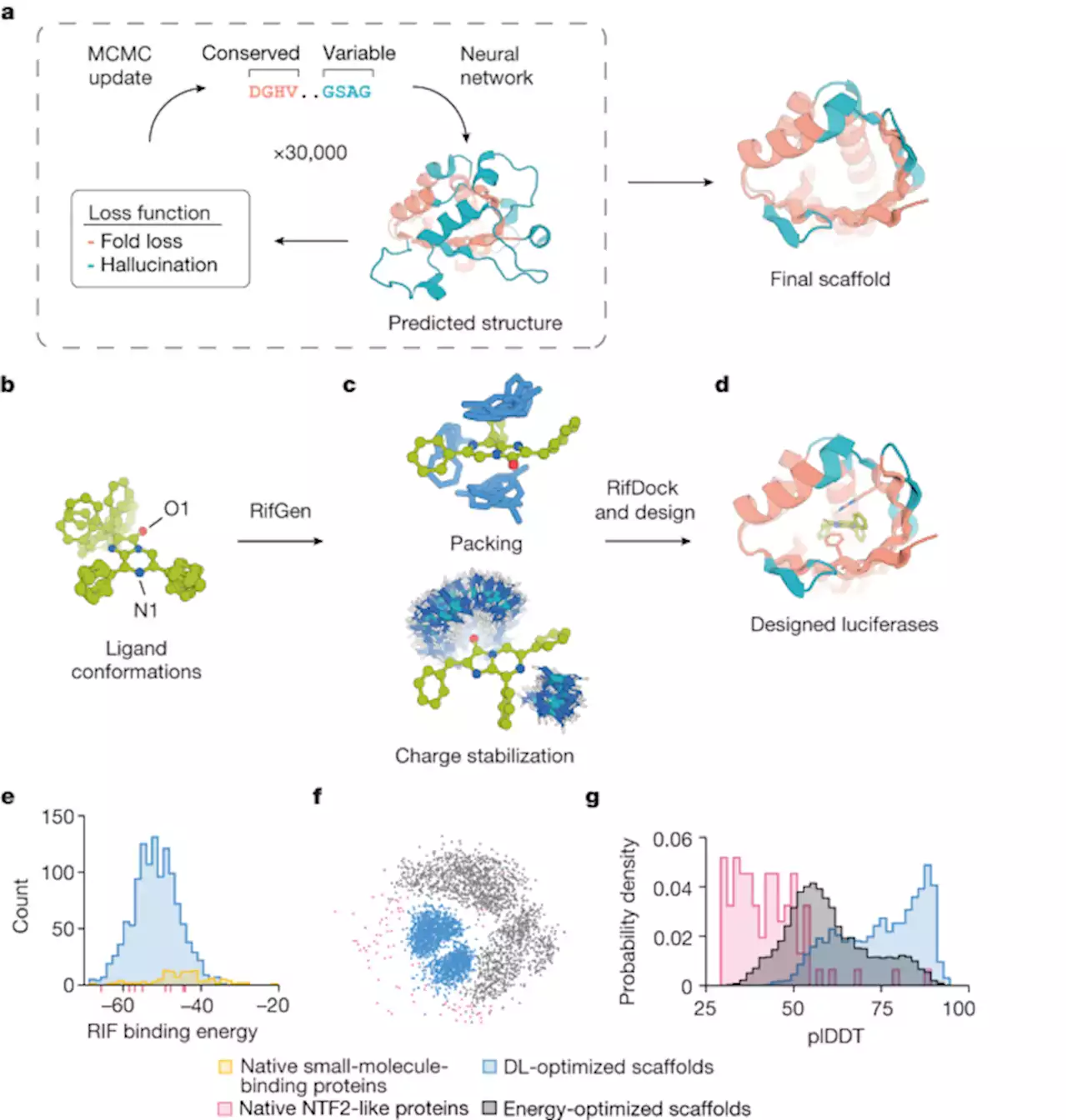 De novo design of luciferases using deep learning - Nature