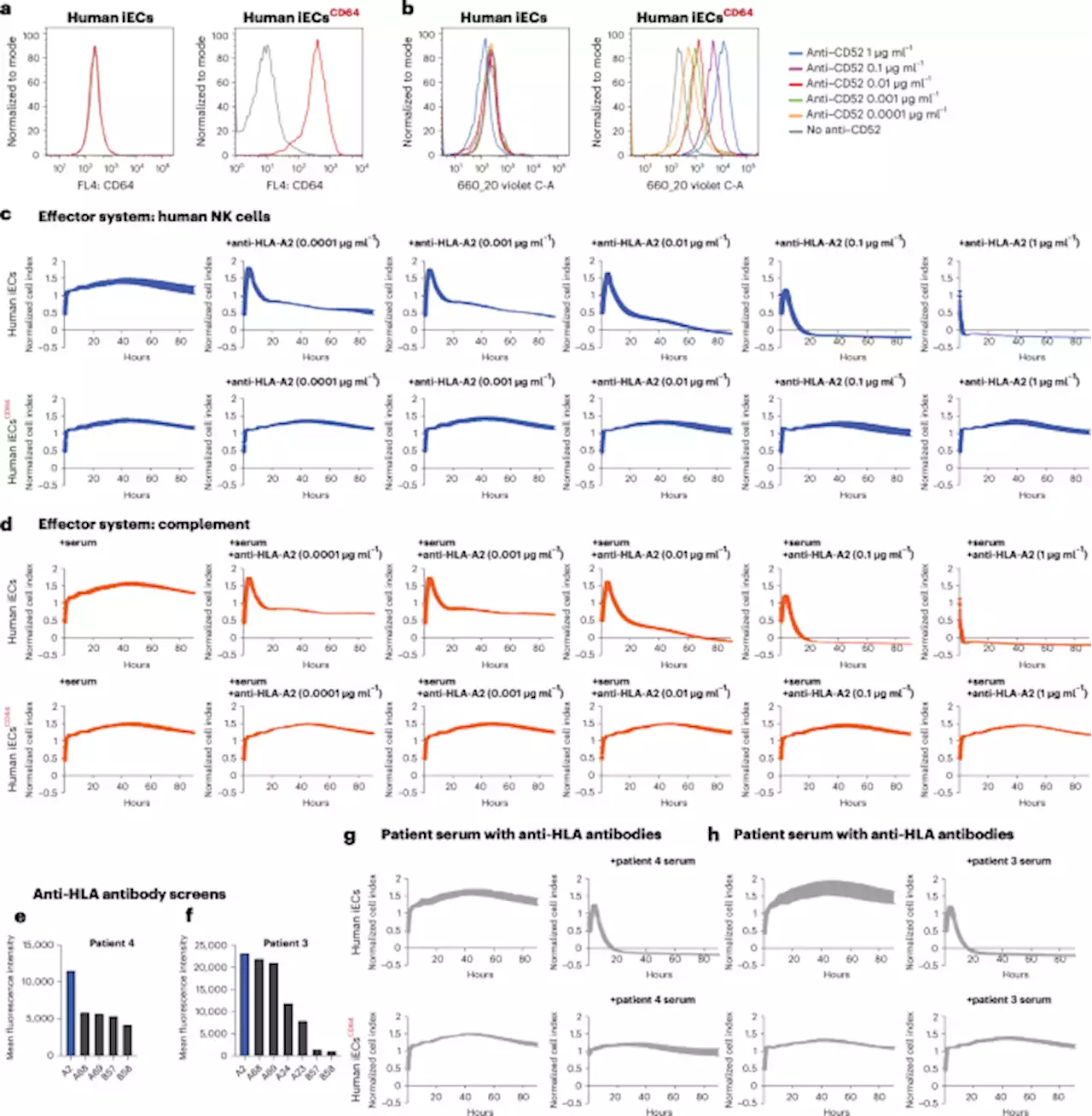 Protection of cell therapeutics from antibody-mediated killing by CD64 overexpression - Nature Biotechnology