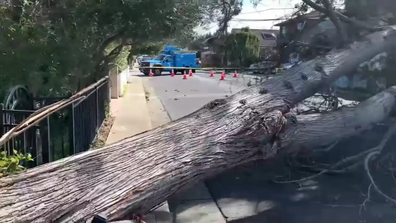 Bay Area Storm-Related Problems: Outages, Downed Trees and Road Closures