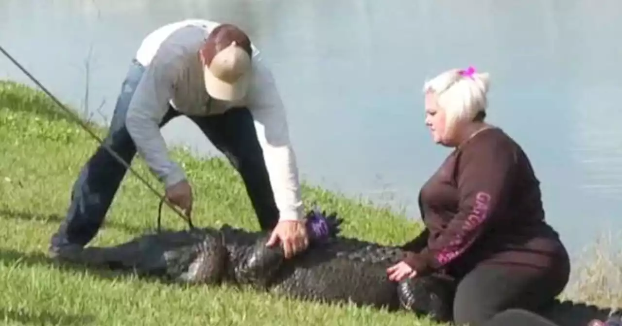 10-foot alligator kills an 85-year-old Florida woman who was on a walk with her dog